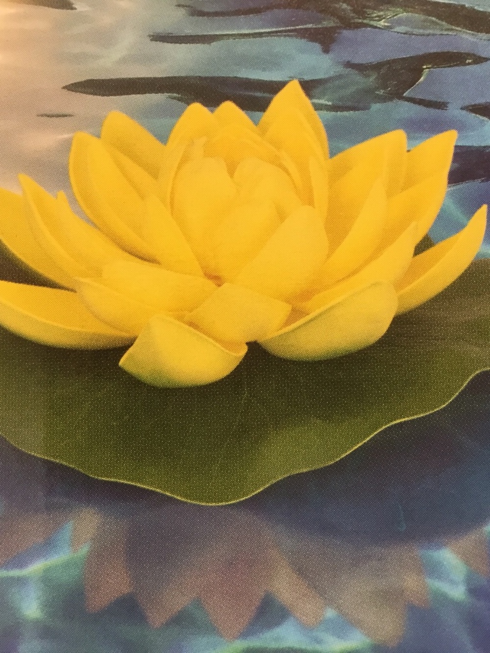 Solar Floating Lily Pad Pool Party Decor